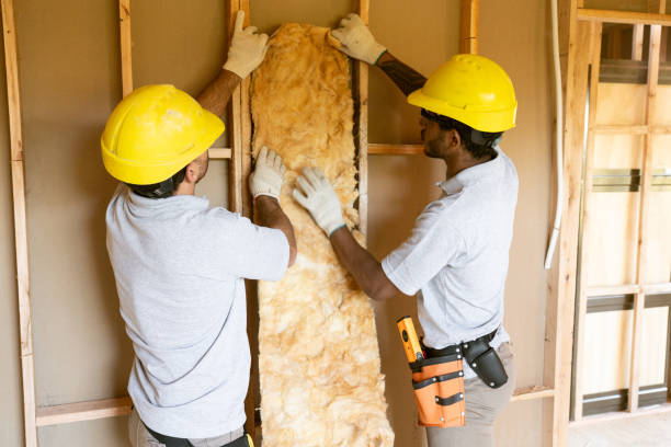 Types of Insulation We Offer in Tchula, MS